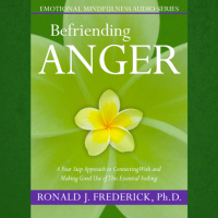 Befriending Anger