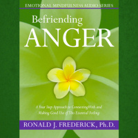 Befriending Anger