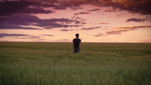 A man standing in the middle of a greenfield looking at the horizon